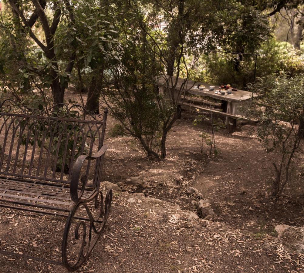 Nel Giardino Dei Pesci Volanti Villa San Pantaleo Exterior photo